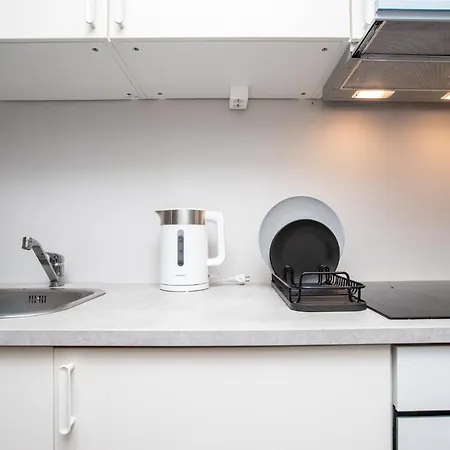 Dzīvoklis Loft Style In City Centre Near Any Public Transportation